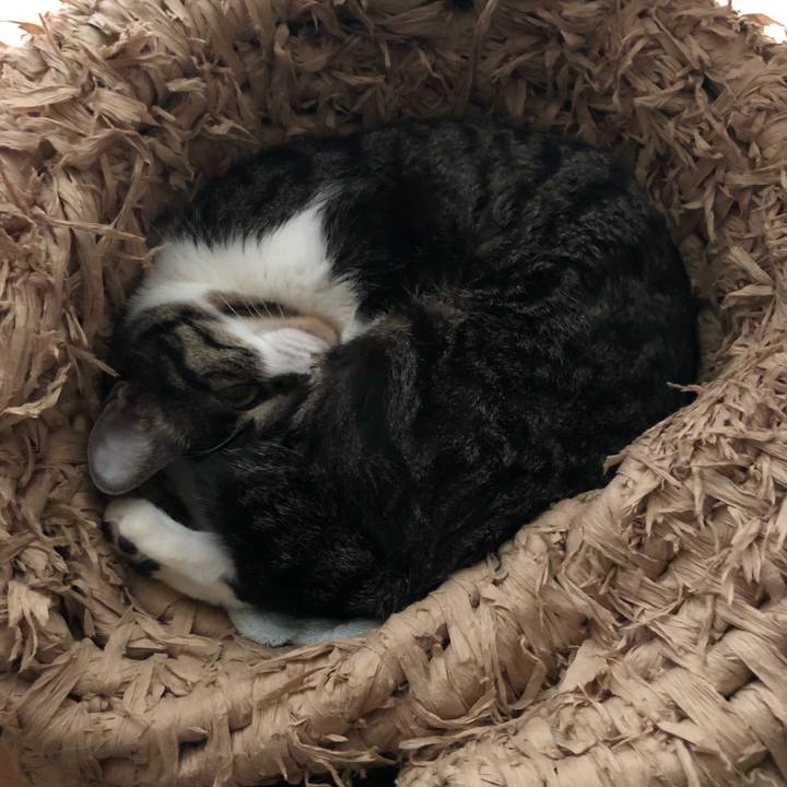 A281b87d 38e8 40d0 bcee 806e72b09fda 1548553921501