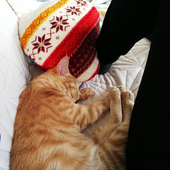 A282001e e808 4360 8e43 de6e4228a3b4 1547431141987