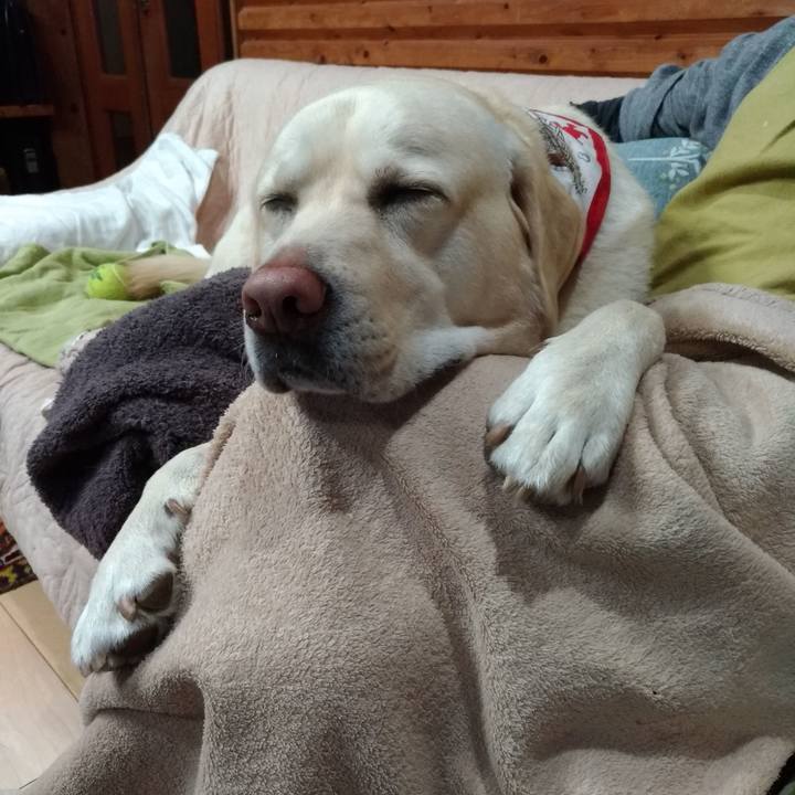 A28227ab bd48 47f9 89c3 79cc5cb9a021 1618148921481