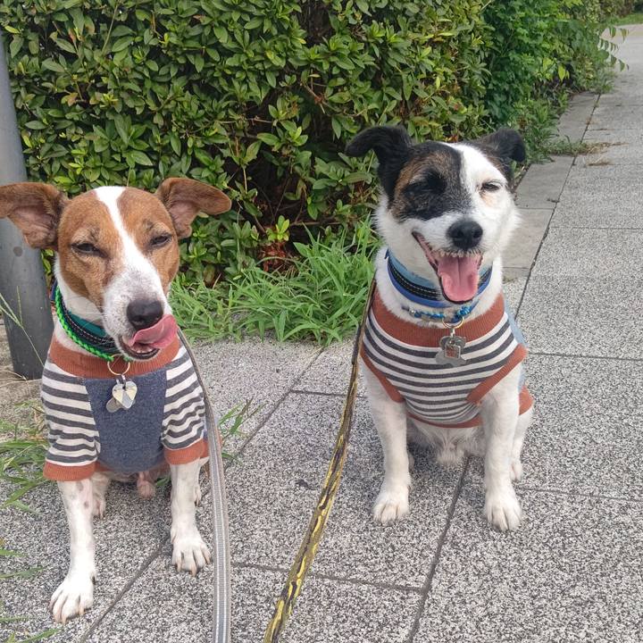 A2828004 218f 4e23 af5f 1143685494a5 1693174535182