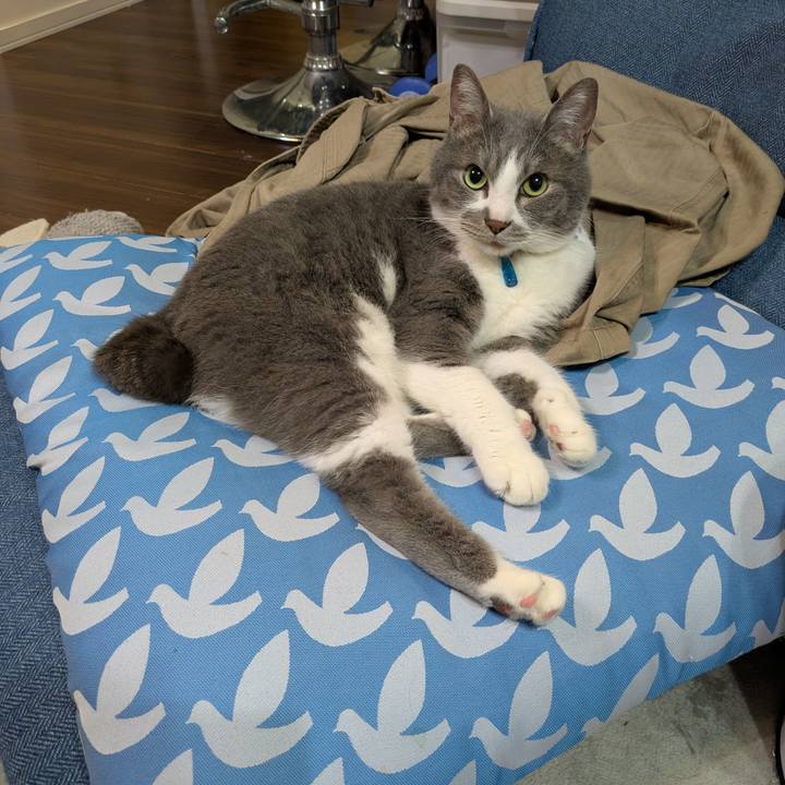 A2828cca b164 49b3 8f7d 35bc1b26f6b2 1748088126896