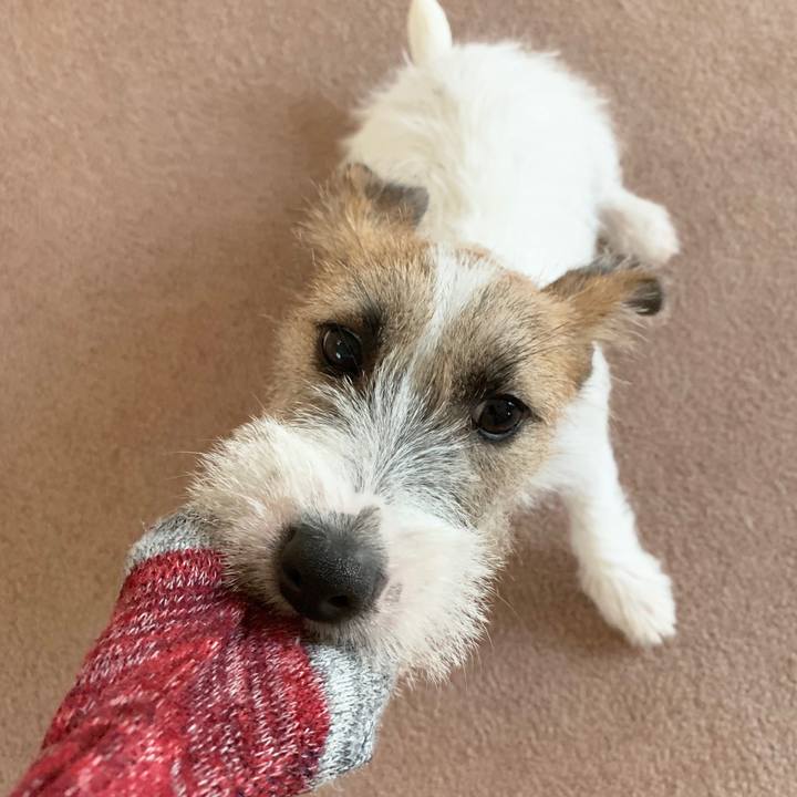 A2828d8b 3dd3 4f95 b5a8 c8707adfac23 1566084937123