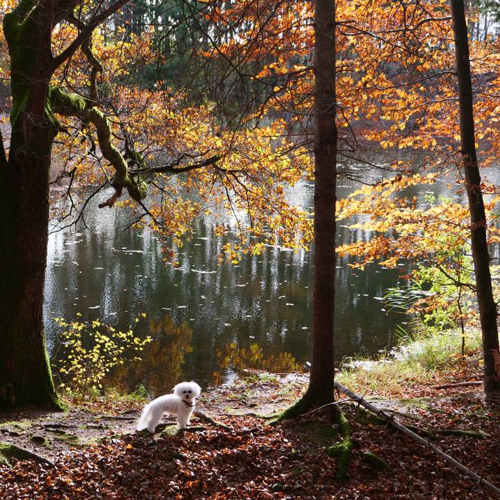 A282fe07 9ab6 40ce bca6 41b6343d620f 1762440099027