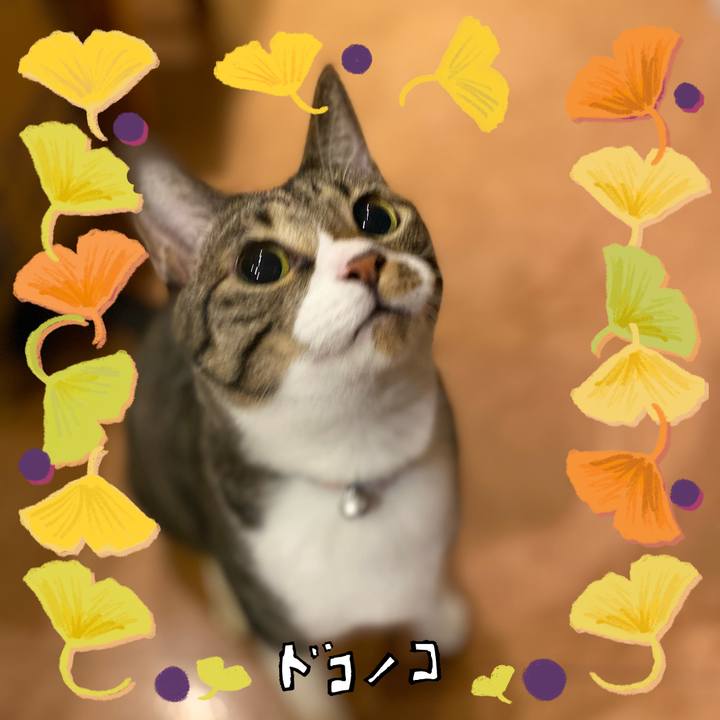 A282ffb0 c5c6 4921 8890 91cf5771f1c9 1730281167359