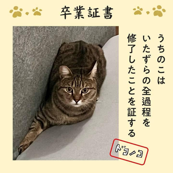 A2830593 136a 4ce3 b0db 5c65547524c7 1771853427133