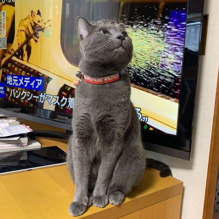 A28316e8 ee10 4890 b08f b97f28cce5b9 1594772061723