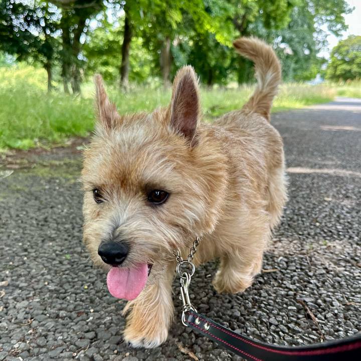 A28329a5 0845 42c8 8190 046ad97ed7bb 1717325053988