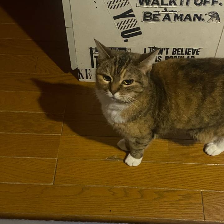 A2836414 adfb 4bab af1b ab1f89f068cc 1678463797145