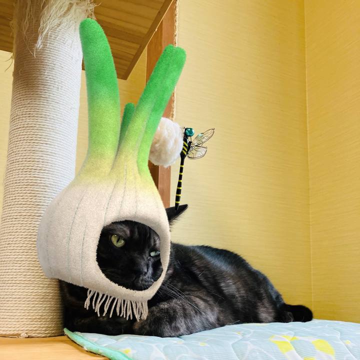 A2839091 6687 4955 8267 f6753f251e09 1754704868040