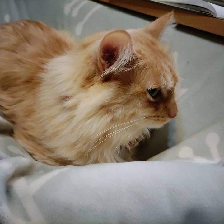 A283a063 2129 4e2f 9711 573d1fb0daf3 1703771461034