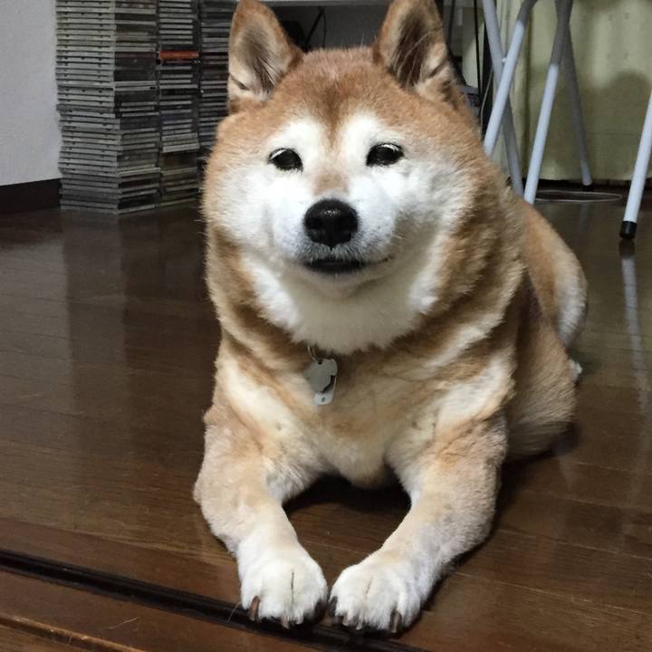 A283a256 5c42 4652 918b d17481ca478c 1553953441571