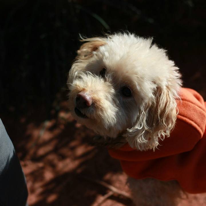 A283b4a7 1c7b 4257 97f8 f100489d45a4 1546371093941