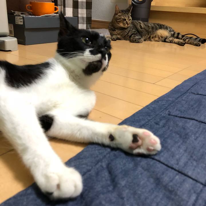 A283d479 8d6c 4f49 b440 f8ecfec90b25 1531324876162