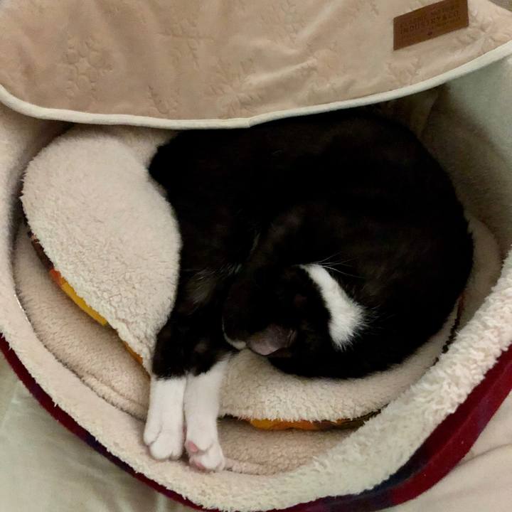 A283e6da f638 4fe7 b088 805eb1547052 1588078290517