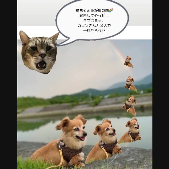 A283eb68 be1d 4a41 a29c 1df3f96c84a1 1722652814925