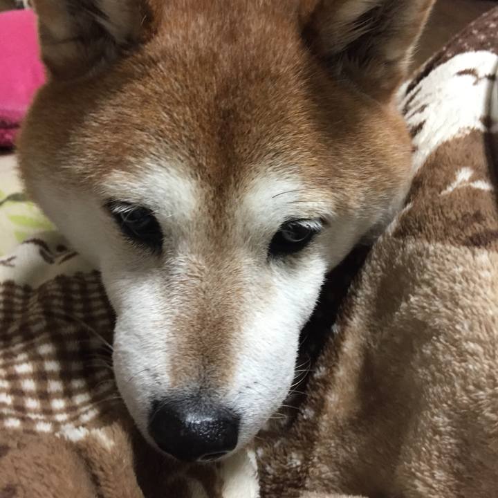 A2841f8c c116 4e1a ab97 652321d1a1f6 1520504225587