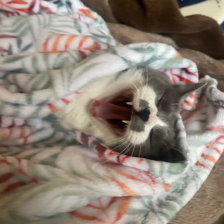 A2844d91 bb5f 43e6 933f e78d0fcbc587 1682464024993