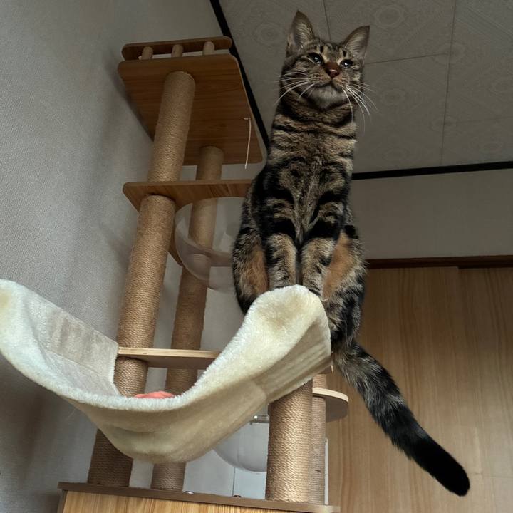 A2846f6b ed7a 48bf b428 17f74555f5a1 1762033117789