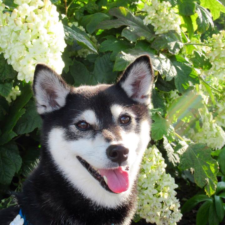 A2849bbd b2bb 4772 b50c 48ace0b150ed 1562234591927