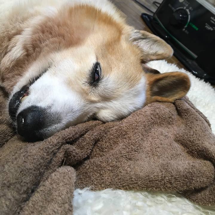 A284b1f5 cb19 4ddf a001 89dcf18c723a 1576663860405