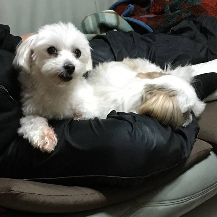 A284c984 95ba 41b8 9333 6cf46829a1e5 1572004061343