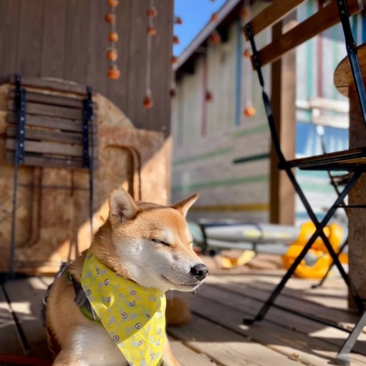 A284cbef 0ebe 4ccf 9e3c 67719b416f59 1668386845391