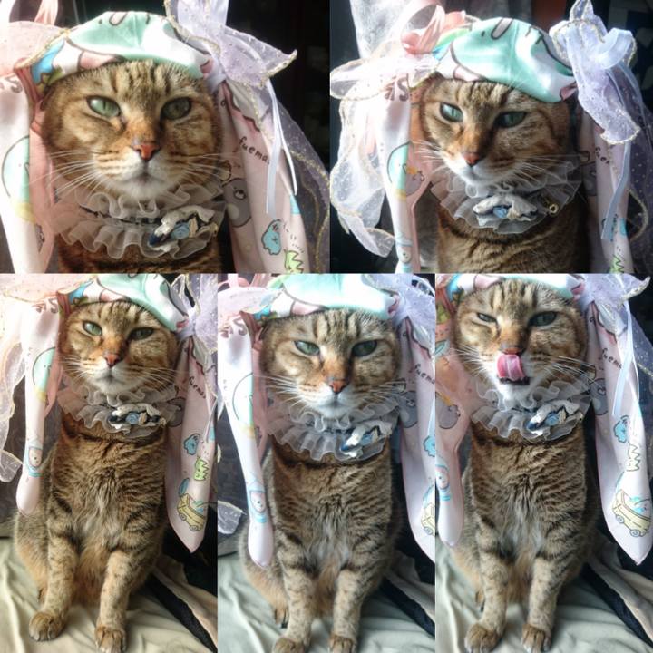 A2850e24 cad2 4c62 8ded 35f694a0647f 1772671529900