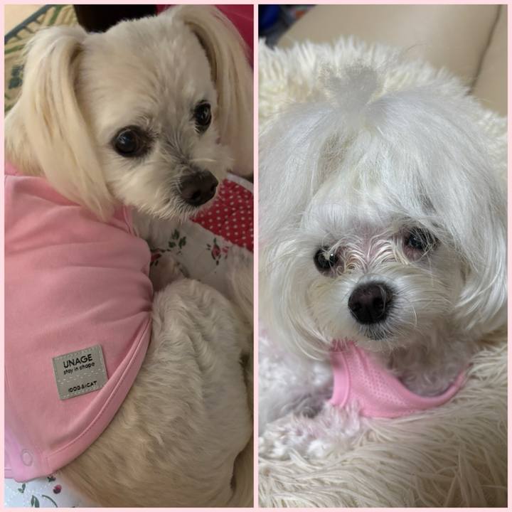 A2853940 d739 4699 88f3 156a9f263a2a 1760268293147