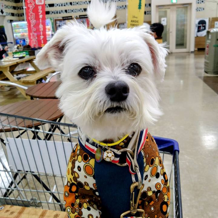 A2856dba 08e3 4cca 8684 83c4eb5fed0f 1705142979611