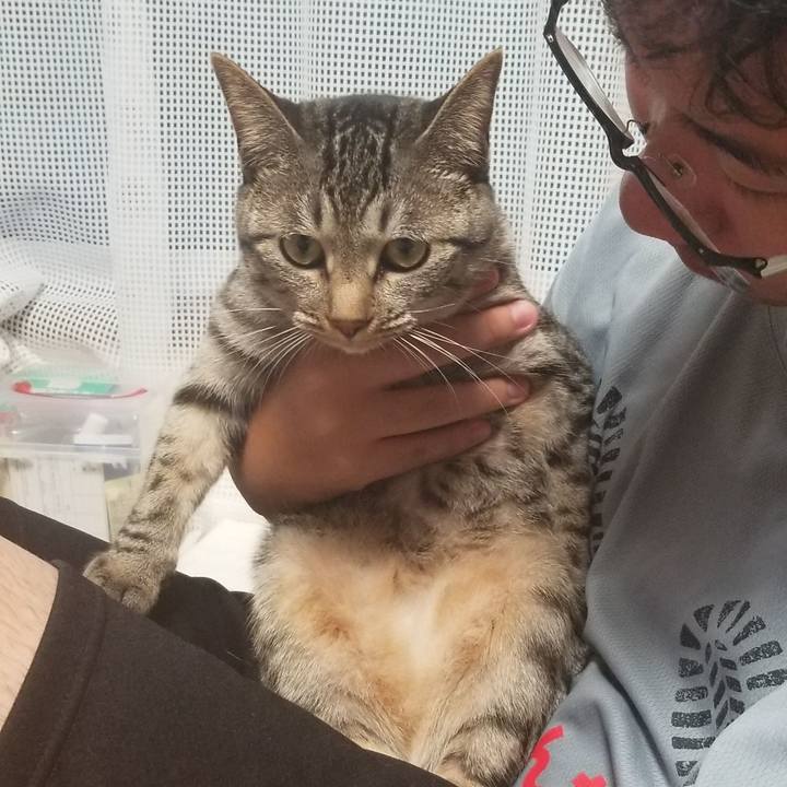 A285a90a 293a 4746 84d6 96b48df67982 1687951136698