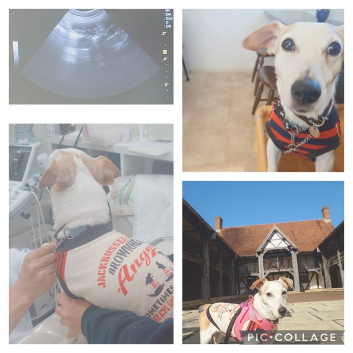 A285e685 f9ed 4679 82a2 aac14609b559 1772627055952