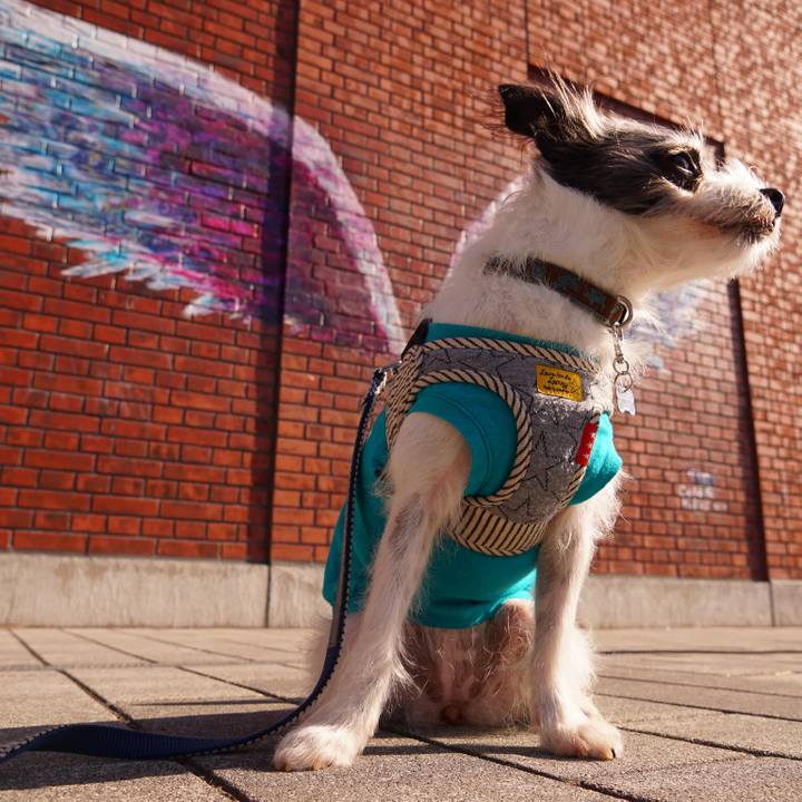 A285f2df 24e1 4c24 b48d d85af22e3ca9 1540199699969