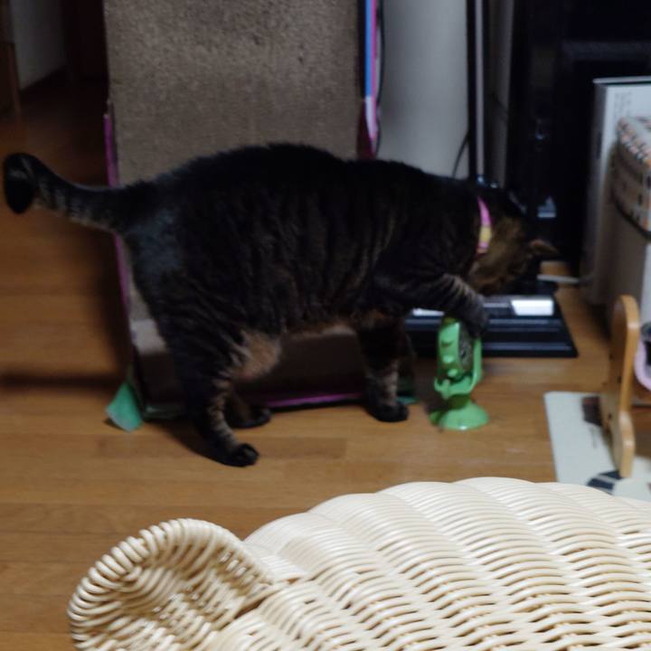 A285f429 3cc9 4b56 9c36 12c6ecf0b018 1772225465448