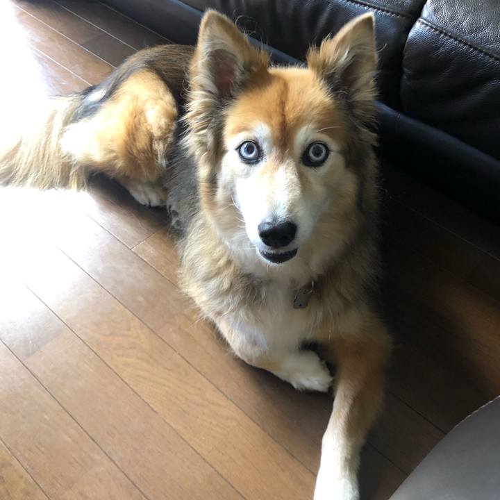 A2861b84 43f2 43b2 8b91 91e1aed9f2e9 1655867488210