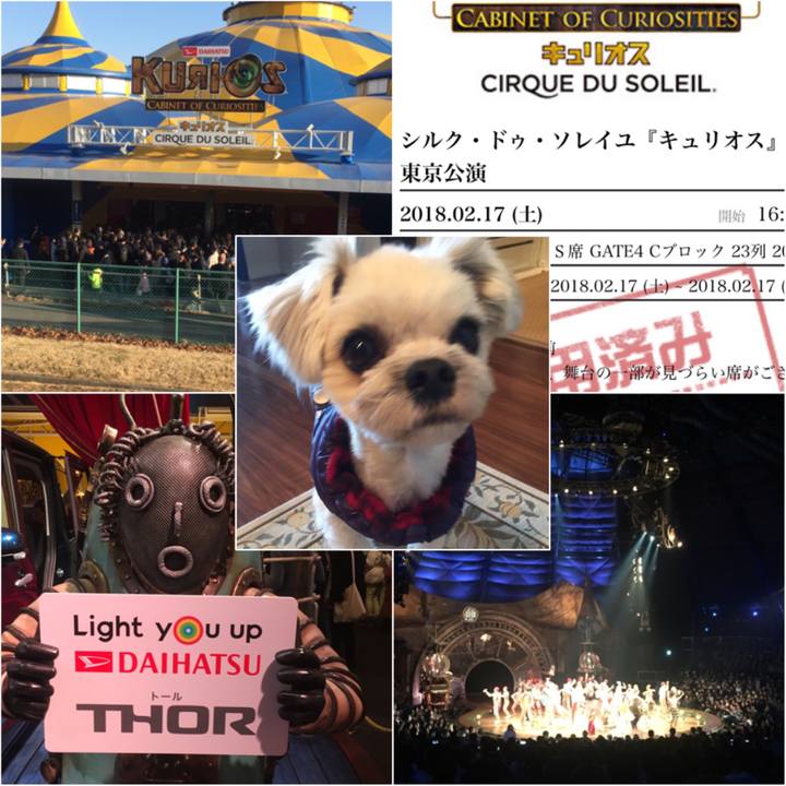 A286226a 377d 49af b042 e56c971f8469 1518873418740