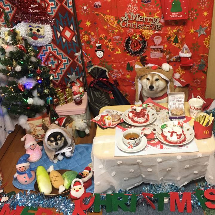 A2865fec f5ab 44a0 bbc8 9778c03ff0f7 1640300799634