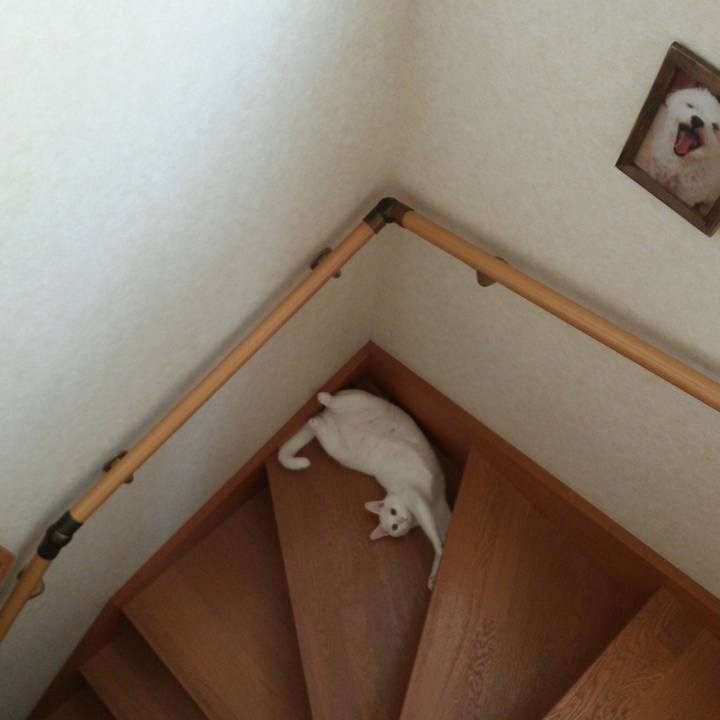 A286688c d794 4ca7 8e71 c60ddf1cce72 1526343860138