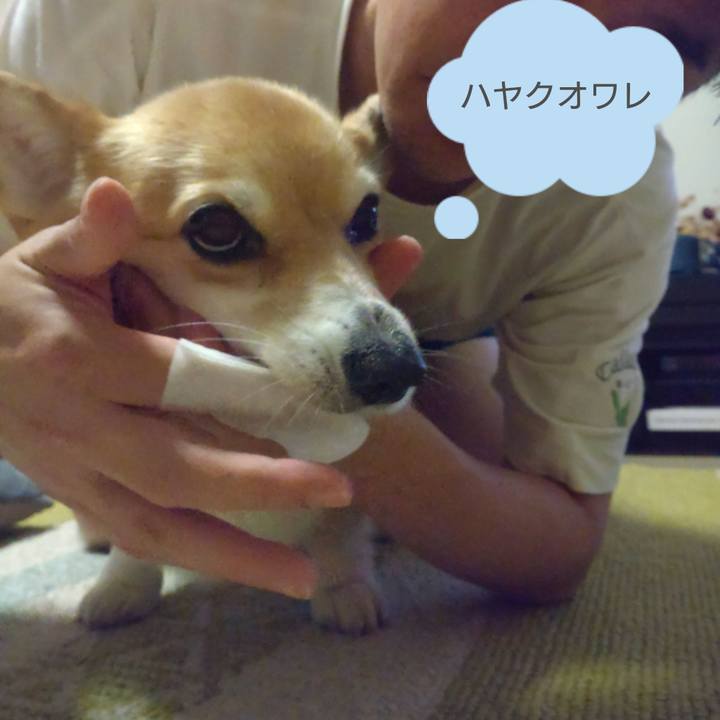 A2866b0b ea6f 4a91 b7fb 51bf6cb5fe33 1662465666774