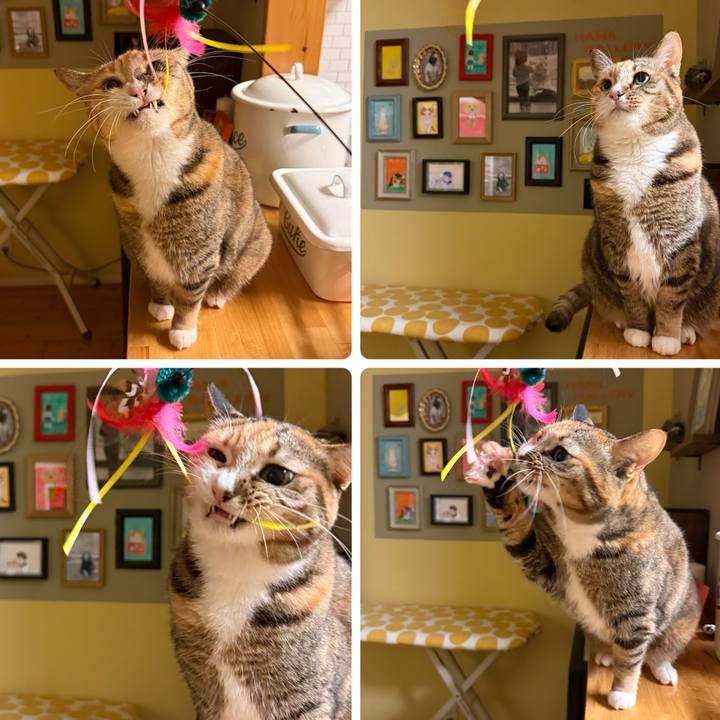 A2866d37 db3e 4c7c 9a2a b5fd683eba26 1769419631029