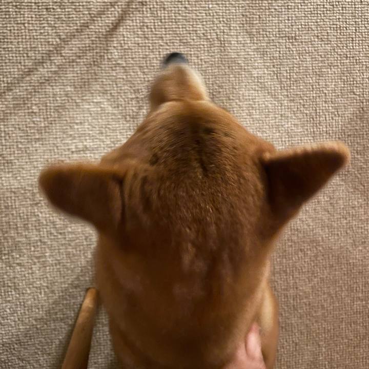 A28685eb 69a7 4261 b8f9 c7ba61a90020 1669250485009