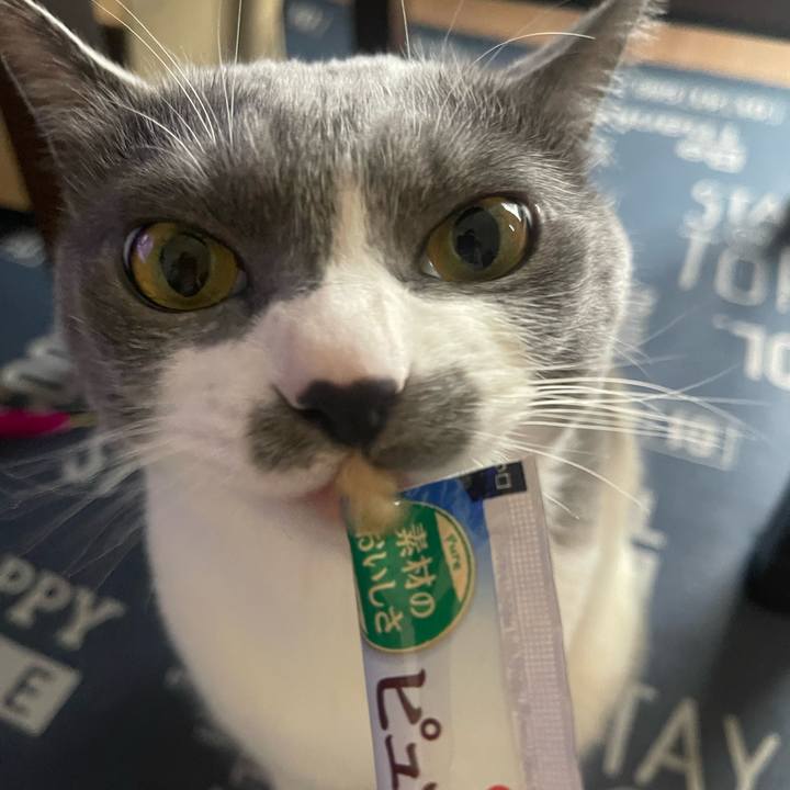 A286adad fc68 464b af63 c2425c6273ac 1714370466147