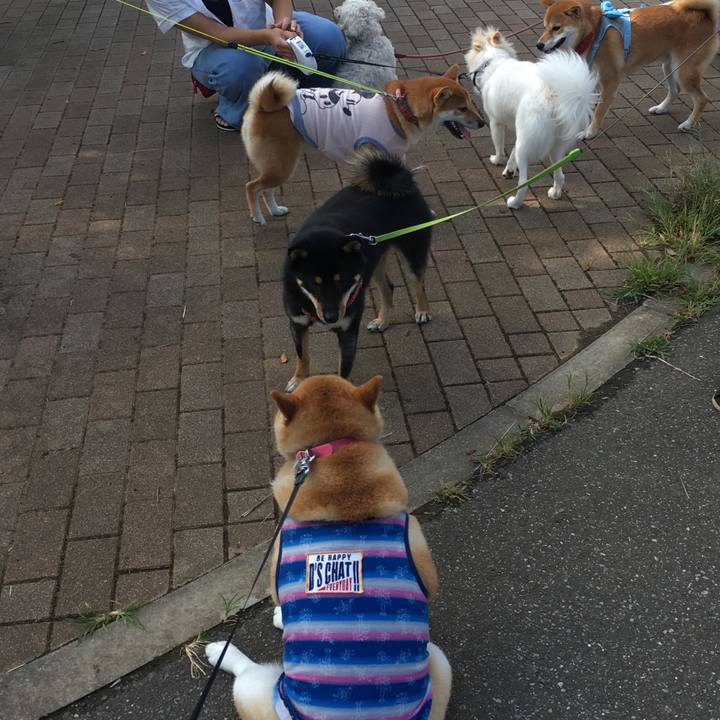 A286b12f b057 4943 b0ea 8adc96bc160e 1569371256367