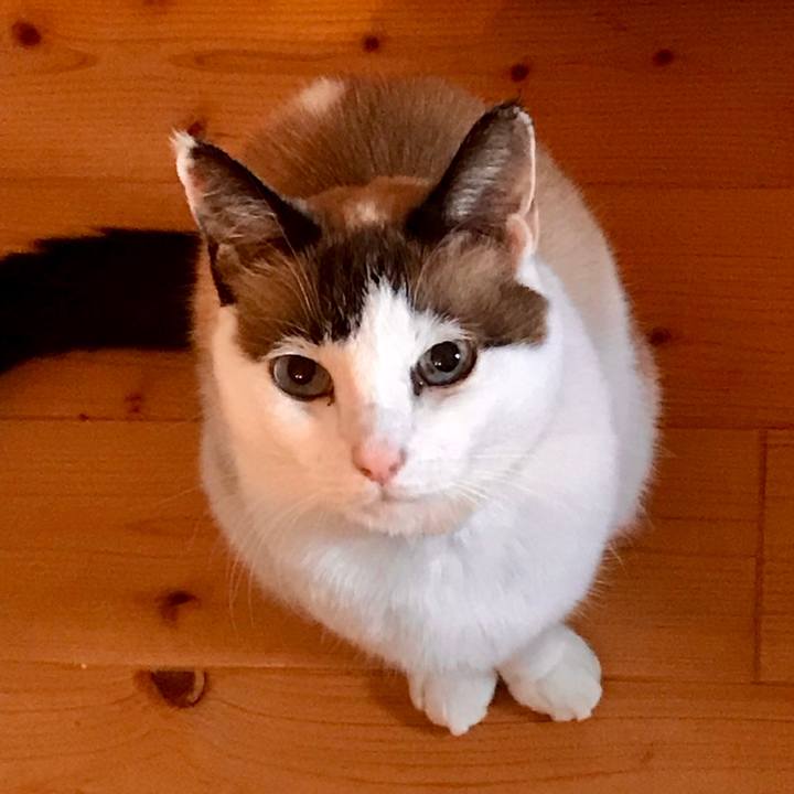 A286e353 ff1f 4366 b770 1635241e3c69 1541035789921