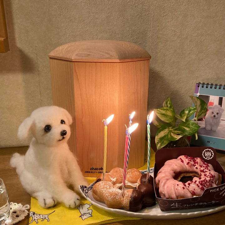 A287266c 9370 4a15 ac6e 47e8de286751 1693562354423