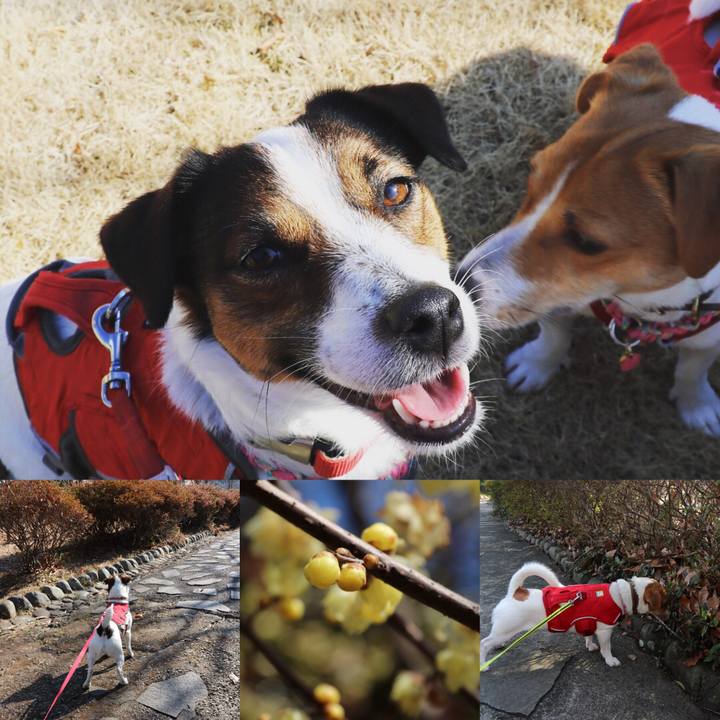 A28735c5 2e3c 42d5 a220 d3e4947cbd6e 1518236954505