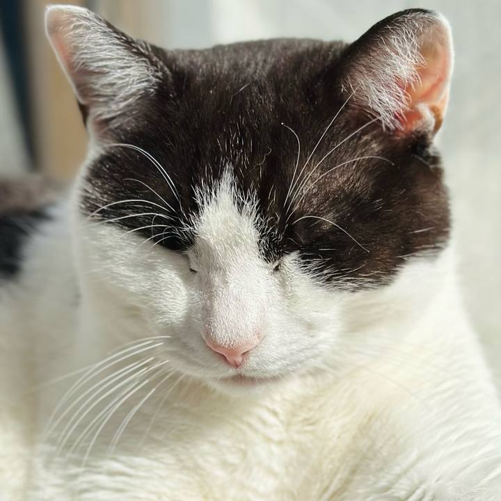 A28742de fe8e 4322 b248 6c4817926378 1679707898227