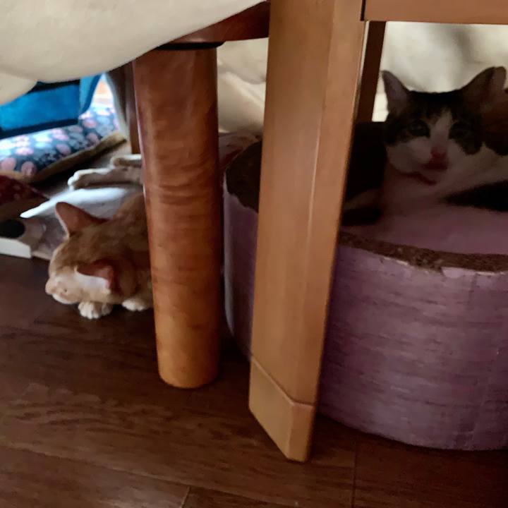 A28753e5 7505 4d35 b881 d98aa02e0198 1575786042743