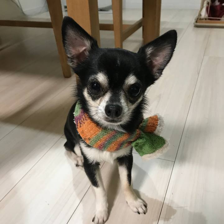 A2876811 535a 4316 a77c 6af0d78e7c16 1520071739405