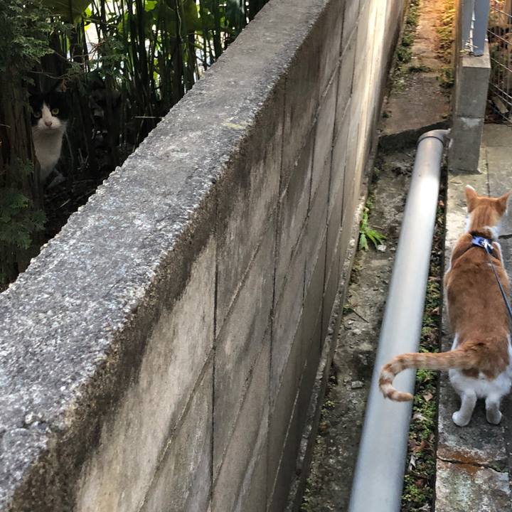 A288ac01 de86 49dd bf84 be6c6a527250 1552218760754