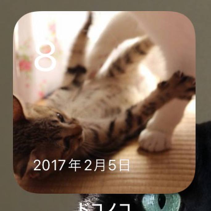 A288b15b 6f9d 4df1 9dc9 05a030ddd17e 1644303206288